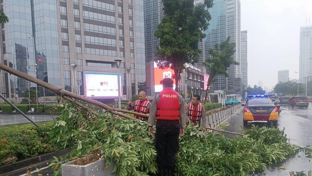 Jalan Sudirman Lumpuh! Pohon Tumbang Timpa Jalur Sepeda