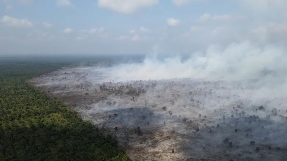 Api Membara! Ratusan Hektare Lahan di Jambi Hangus