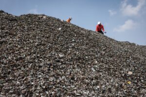 Limbah Kerang Ancam Pesisir Kalibaru