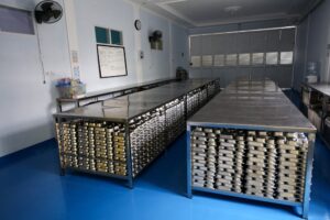 Dapur Program Makan Bergizi Disegel Pasca Keracunan