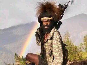 12 Aksi Kekerasan Warnai Jejak Bos KKB Intan Jaya