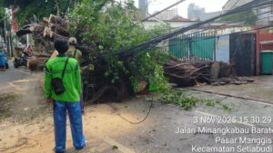 Pohon Tumbang di Manggarai, Jalur TransJ Kembali Normal