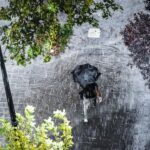 Bangkaterkini.id, Jakarta - Badan Meteorologi, Klimatologi, dan Geofisika (BMKG) mengeluarkan peringatan dini terkait potensi curah hujan tinggi dan banjir yang perlu diwaspadai di berbagai wilayah Indonesia pada Dasarian I Desember 2025 (1-10 Desember 2025). Informasi ini krusial agar masyarakat dapat meningkatkan kesiapsiagaan.