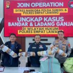 Jaringan Ganja Lintas Pulau Terputus 220 Kg Disita