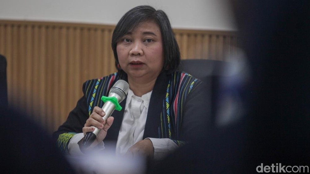 Komnas HAM Soroti Pelanggaran HAM di Puncak Papua