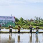 Banyuwangi Genjot Tanam Padi Antisipasi Kemarau