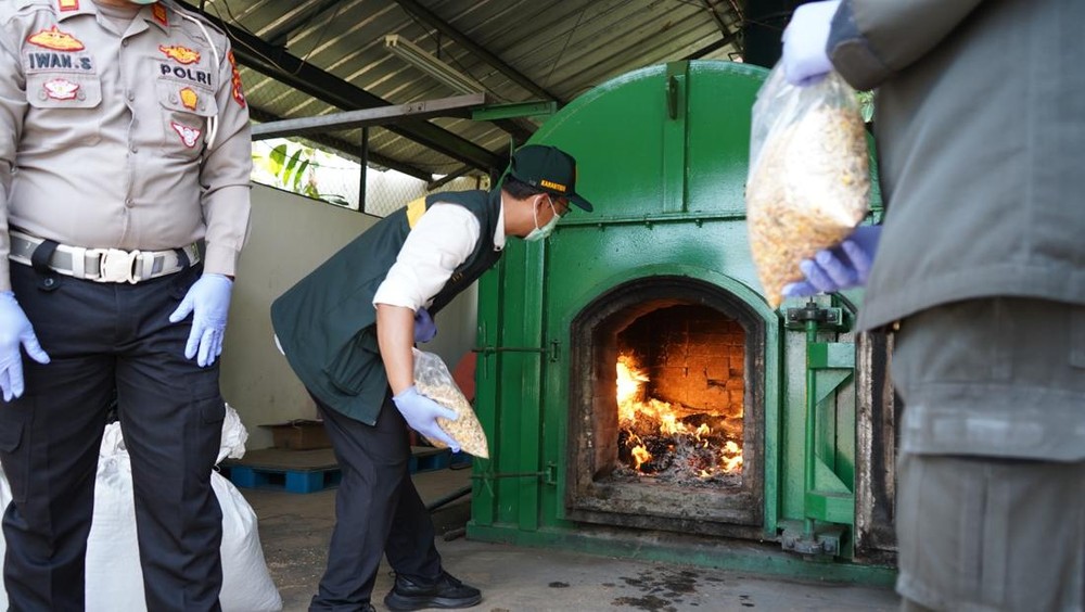 Karantina Banten Musnahkan Gulma Asing Berbahaya